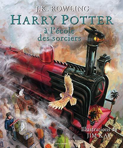 Harry Potter à l'école des sorciers (French language, 2015)