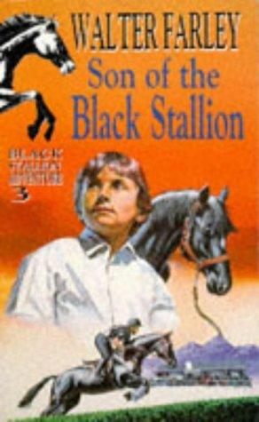 Son of the black stallion. (Paperback, 1973, Knight Books)