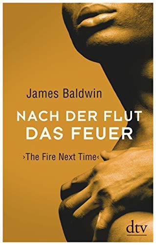 Nach der Flut das Feuer (German language, 2019, dtv Verlagsgesellschaft)