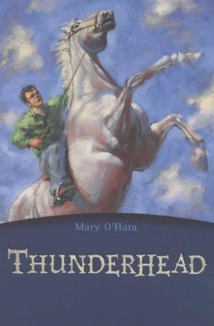 Thunderhead (Flicka, #2)