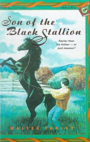 Son of the Black Stallion (Hardcover, 1999, Tandem Library)