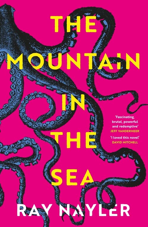 Mountain in the Sea (Hardcover, 2023, W&N)